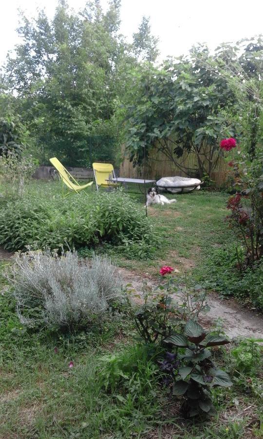 Le Jardin Du Controleur Apartment Valence  Bagian luar foto